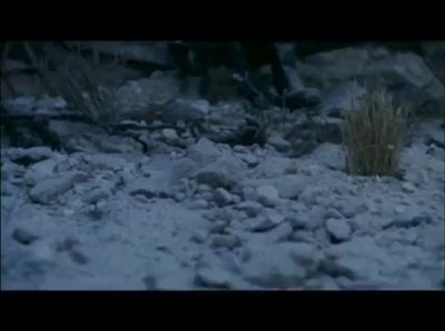 a picture of rocks and grass in the snow