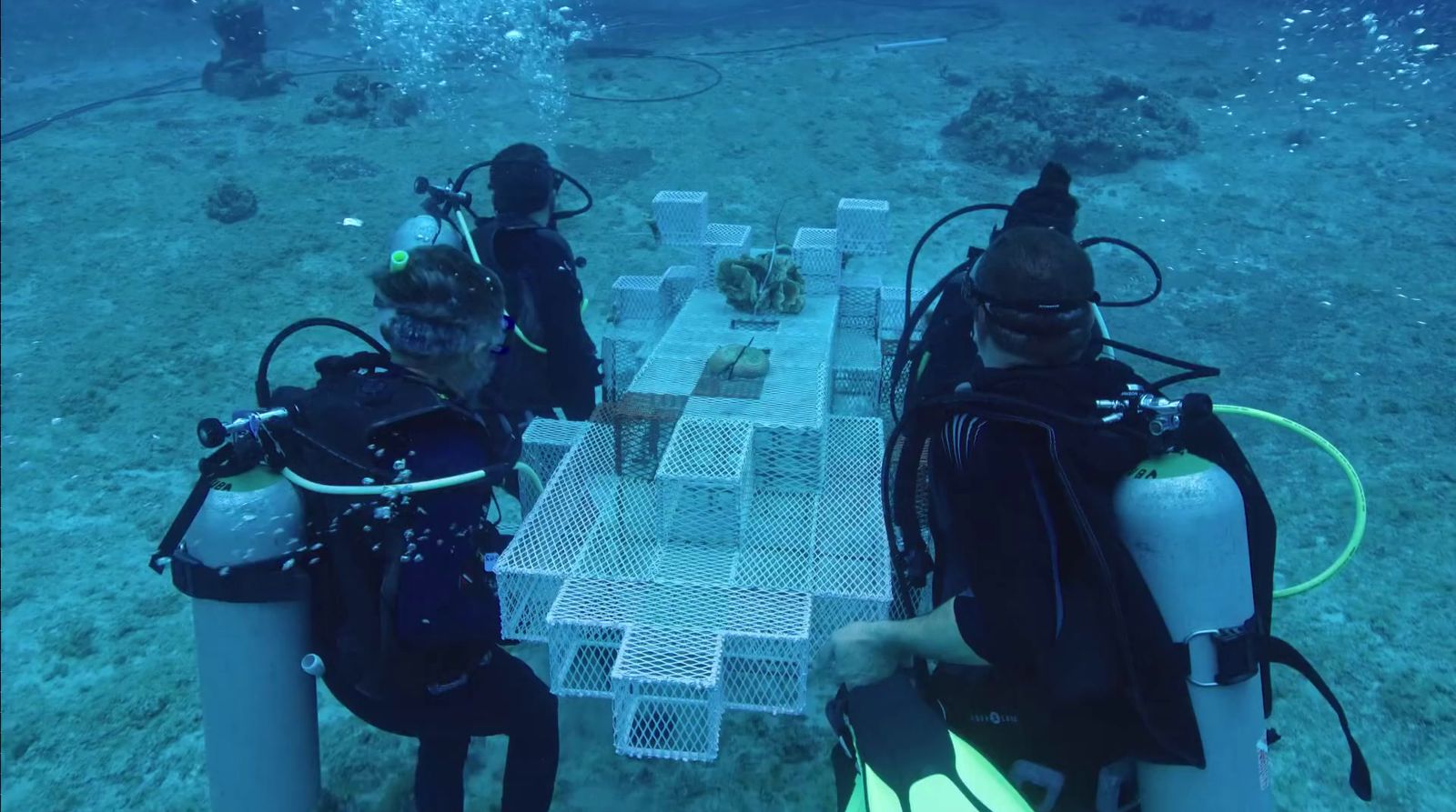 a group of people standing around a table in the water