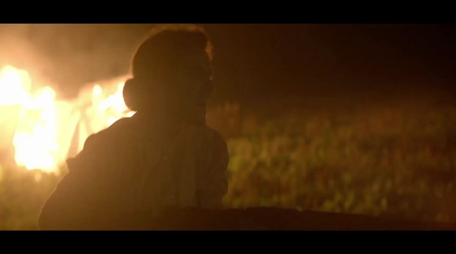 a person standing in a field at night