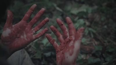 two hands are covered in red paint in the woods