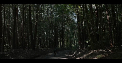 a person walking down a road in the middle of a forest