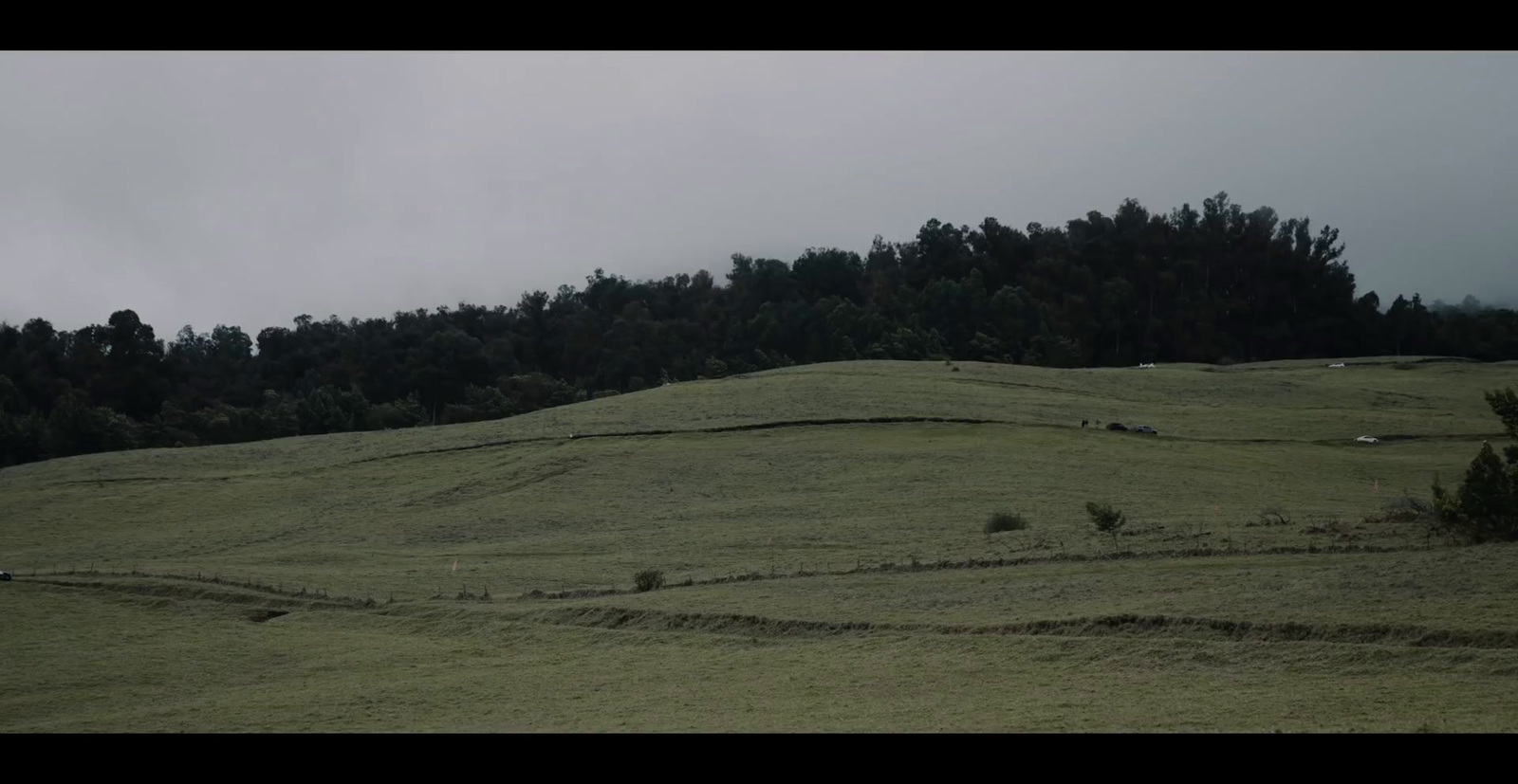 a grassy hill with trees in the background