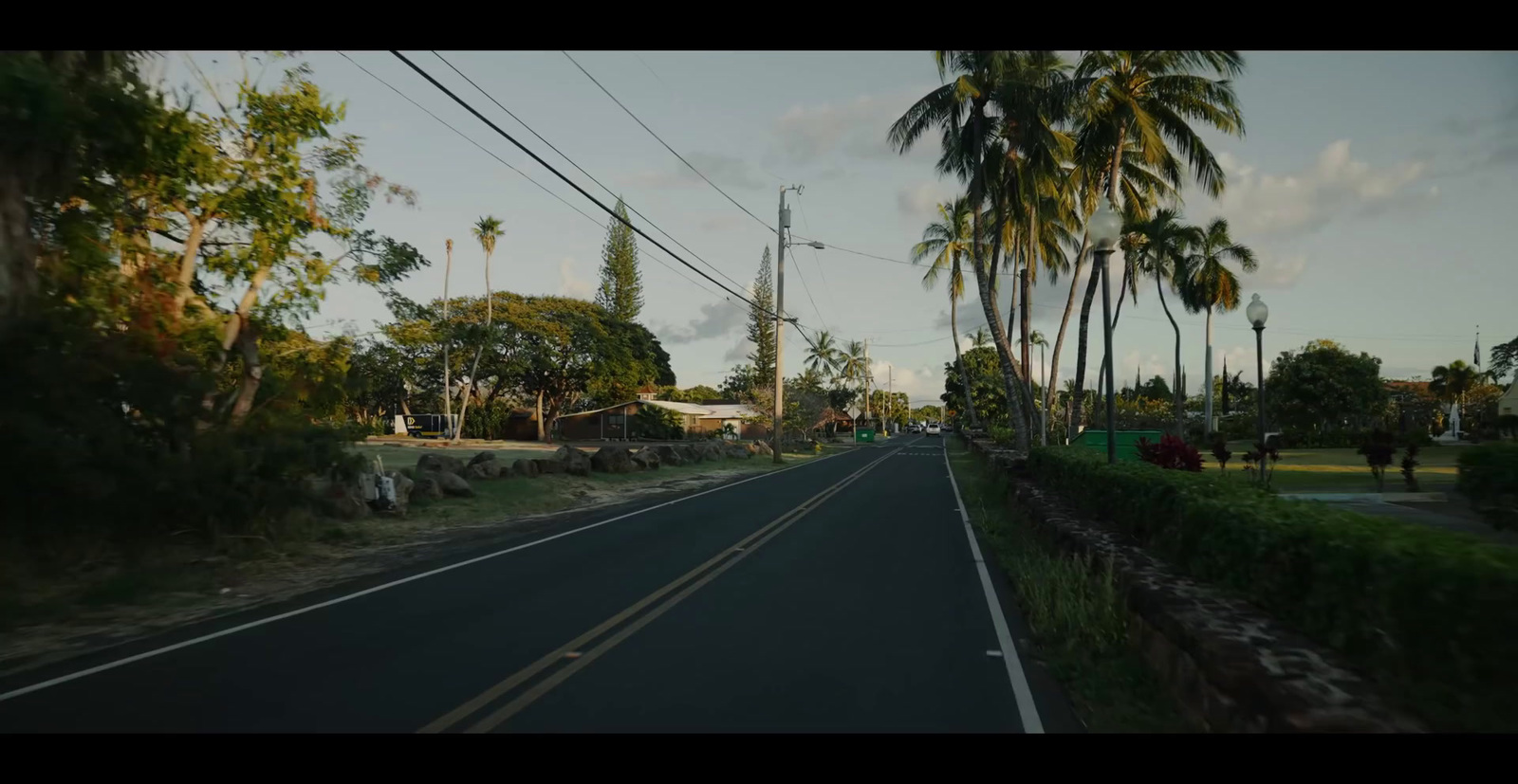 a view of a street with palm trees on both sides