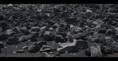 a bunch of rocks that are on the ground