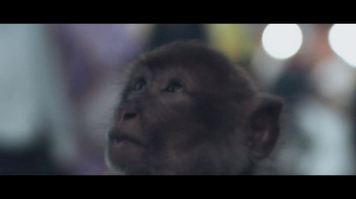 a close up of a monkey looking up at something