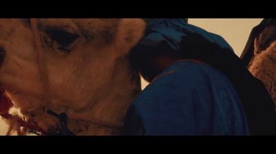 a close up of a person walking a camel