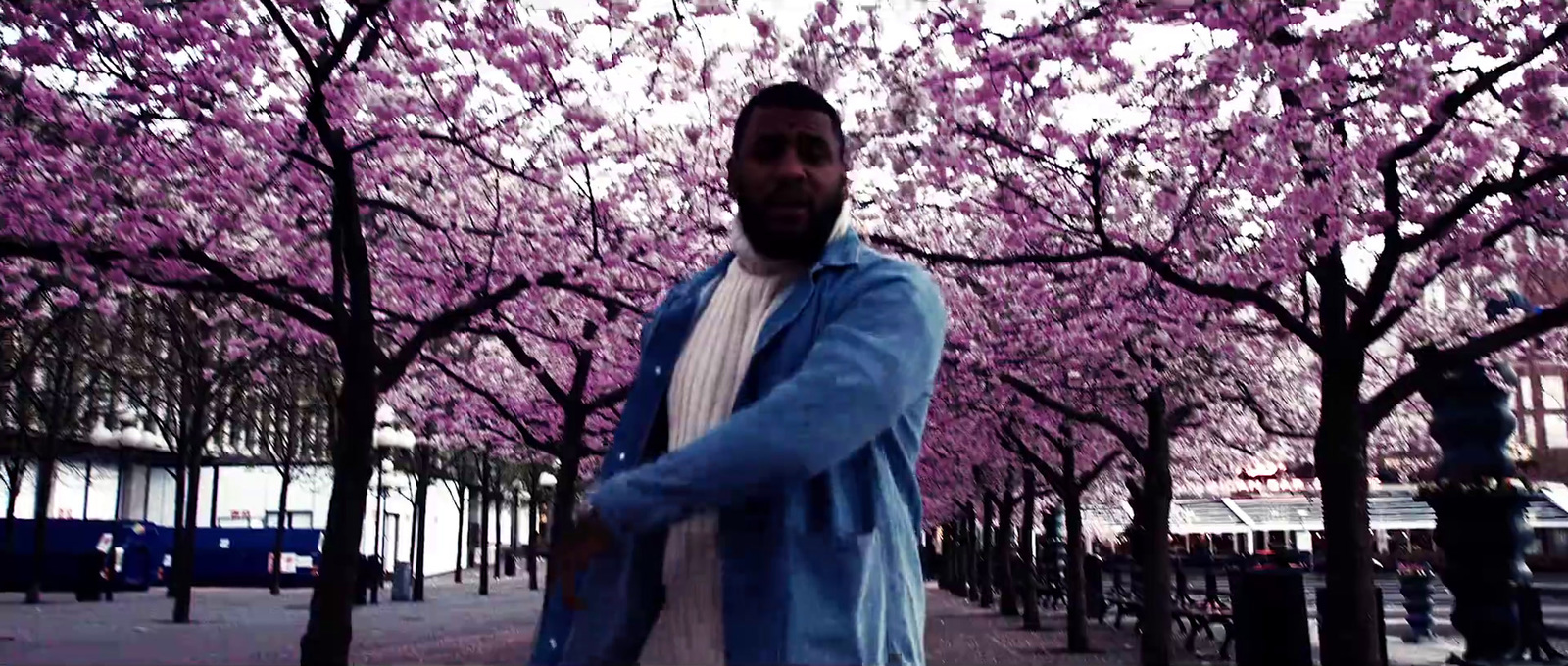 a man standing in front of a tree filled with pink flowers