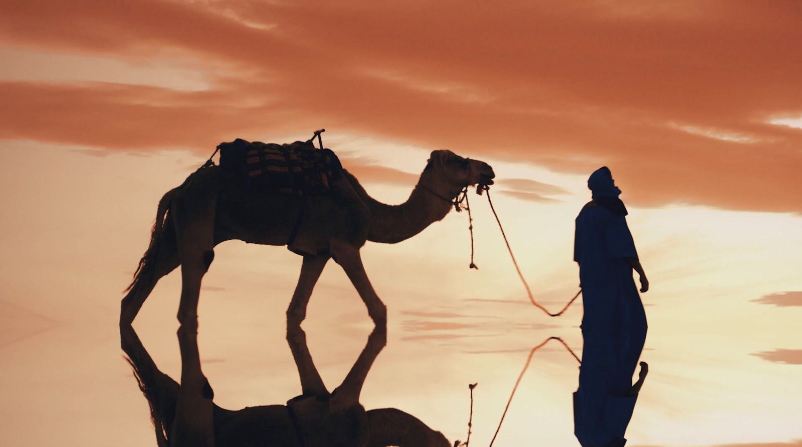 a man standing next to a camel in front of a sunset