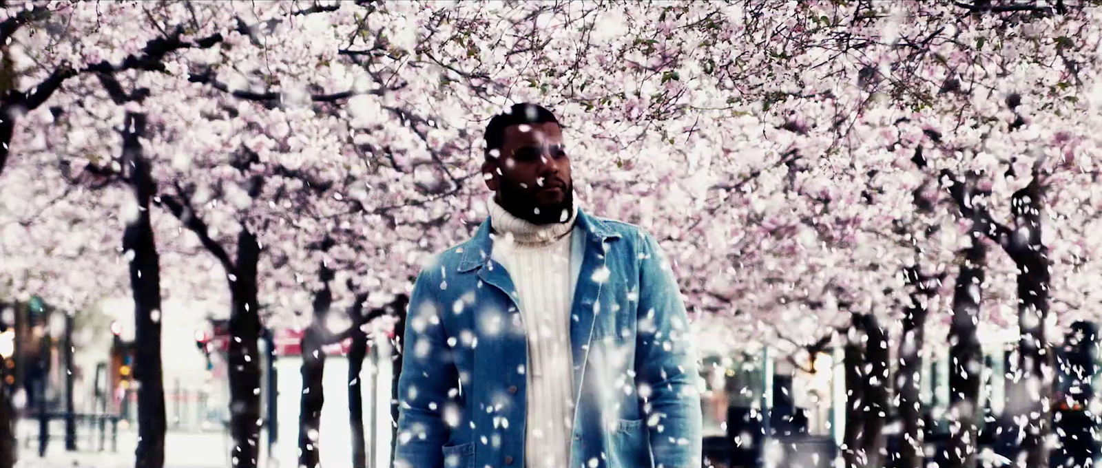 a man standing in front of a tree filled with pink flowers