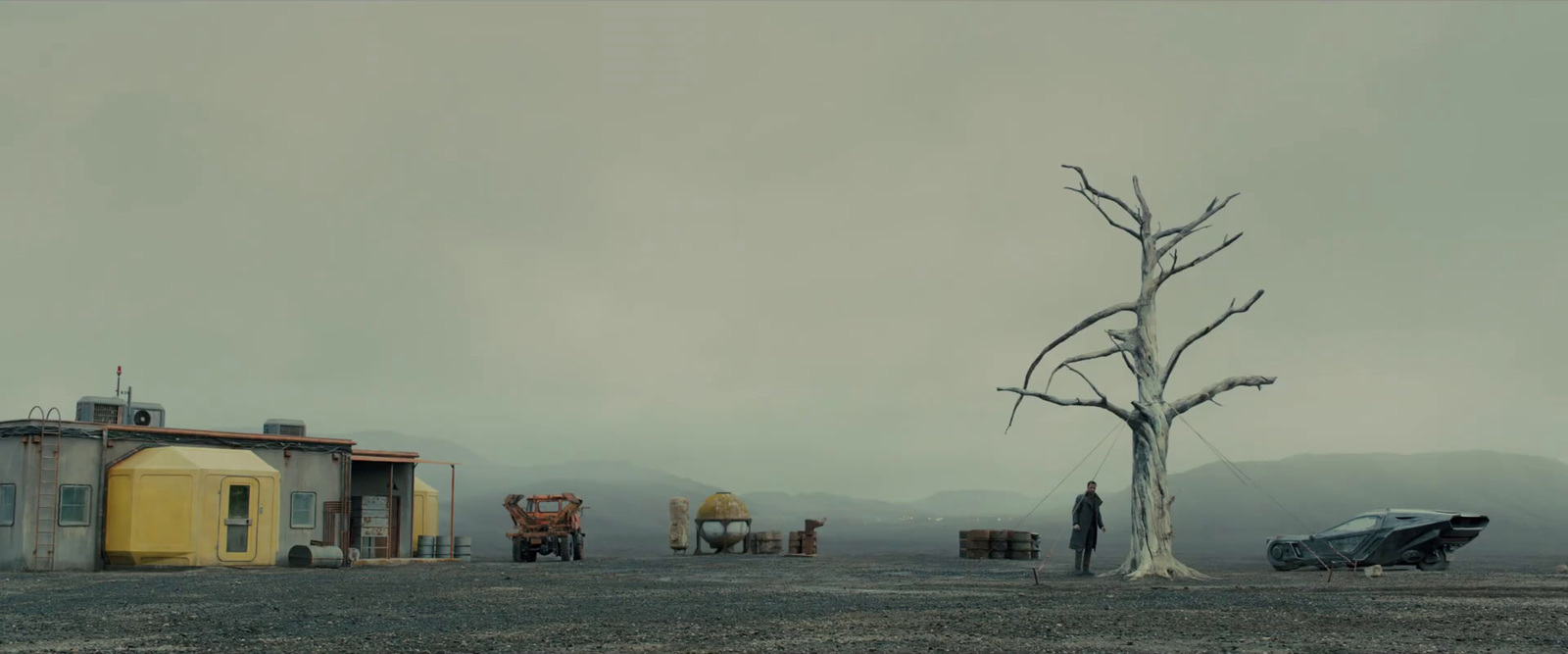 a man standing next to a dead tree