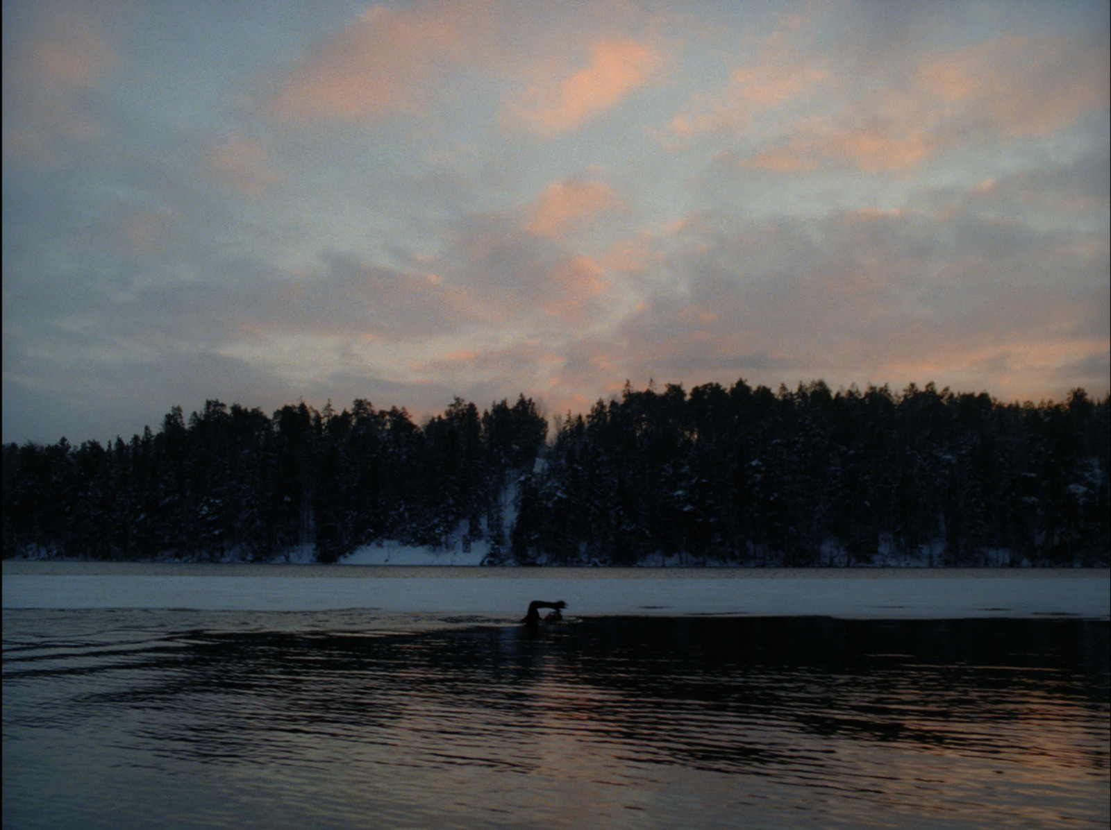 a lake with some trees in the background