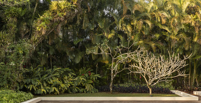 a bench sitting in the middle of a lush green park