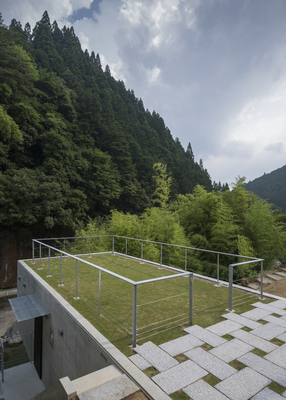 a soccer field in the middle of a forest