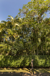 a man walking down a street next to a lush green forest