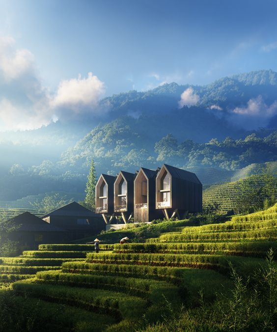 a couple of houses sitting on top of a lush green hillside