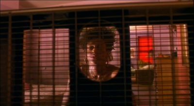 a woman in a cage looking out the window