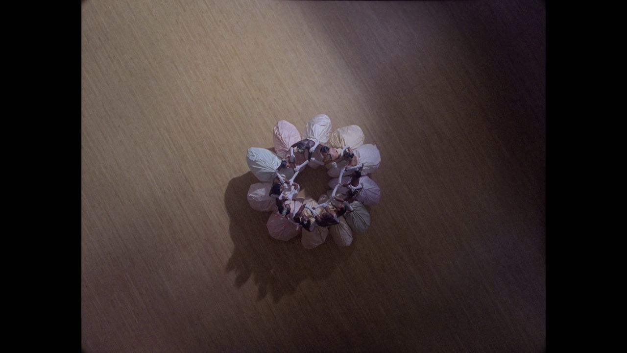 a group of flowers sitting on top of a wooden table