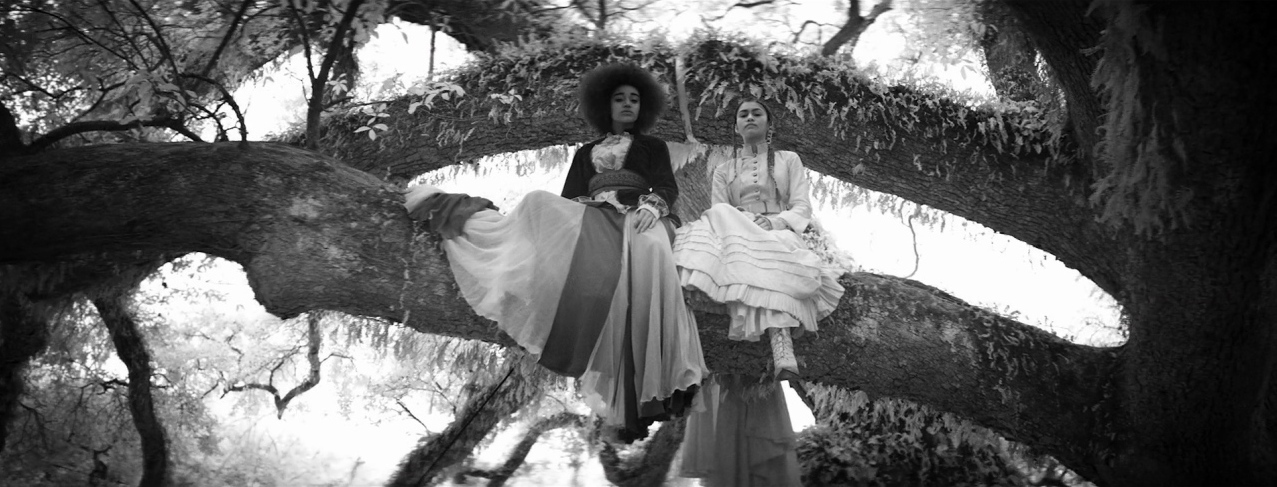 a woman sitting on top of a tree branch