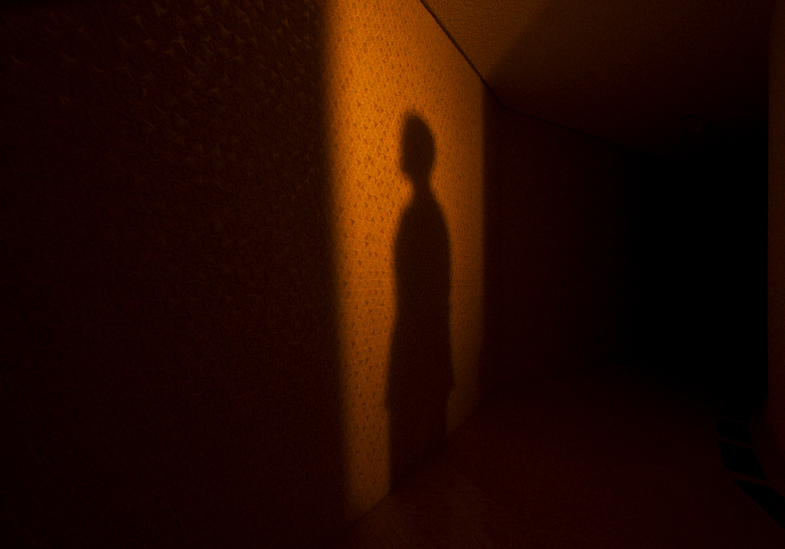 a shadow of a person standing in a dark room