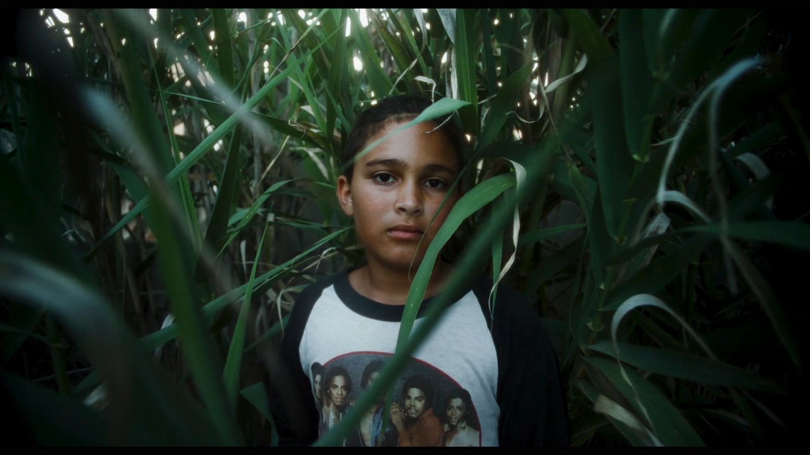 a young boy standing in a field of tall grass