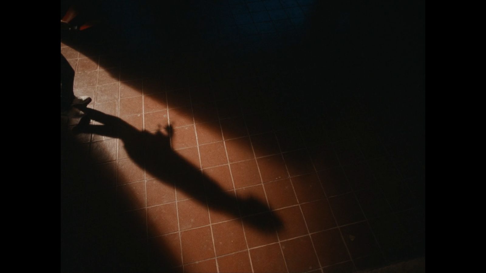 a shadow of a person standing on a tile floor