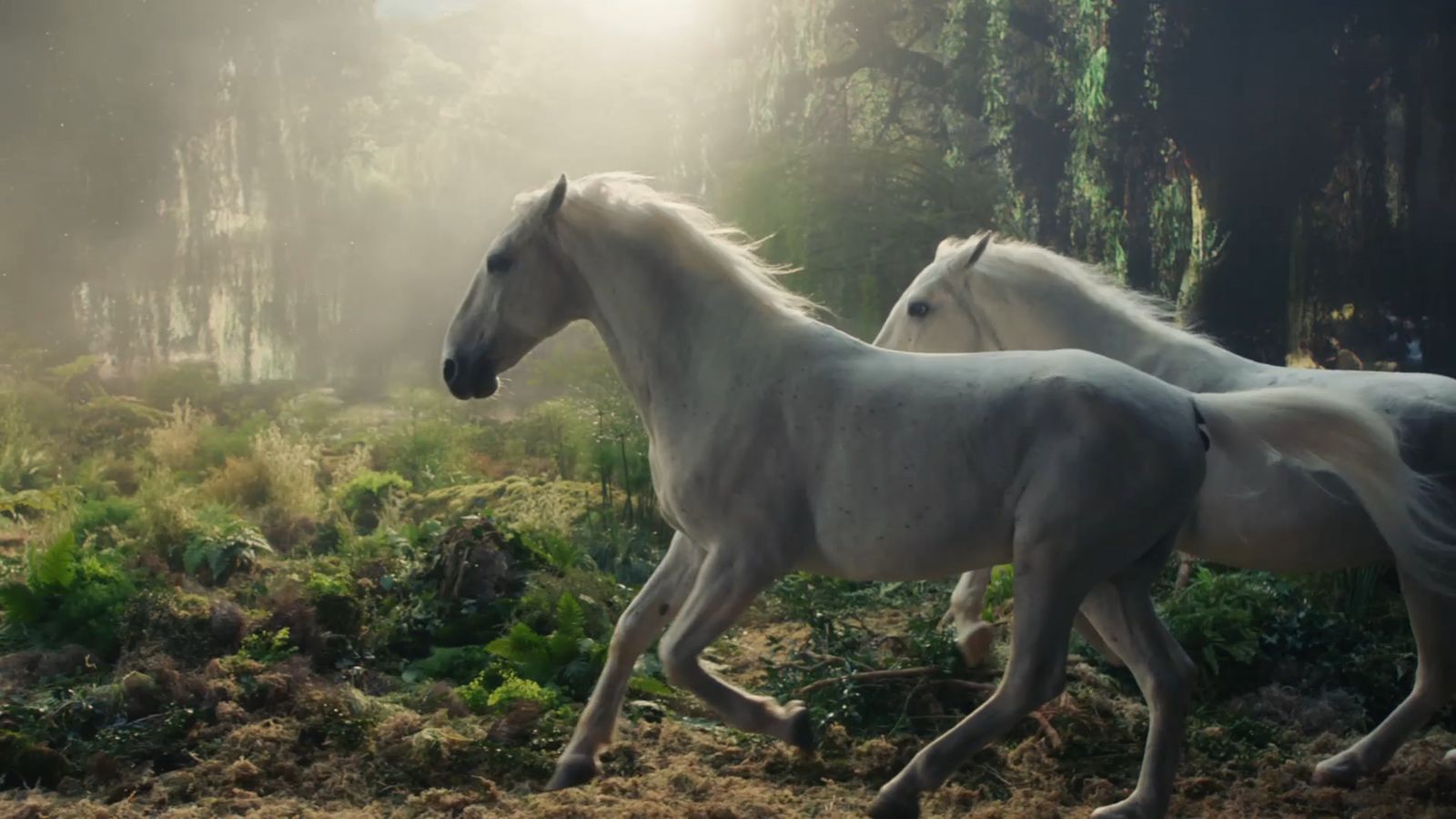 a couple of white horses running through a forest