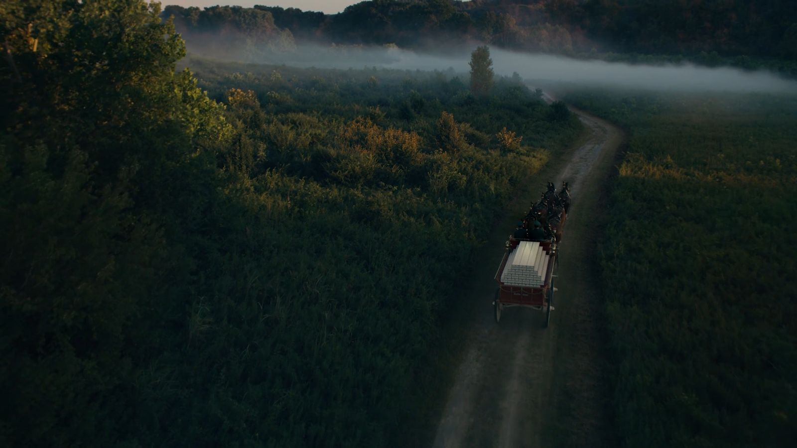 a train traveling through a lush green forest