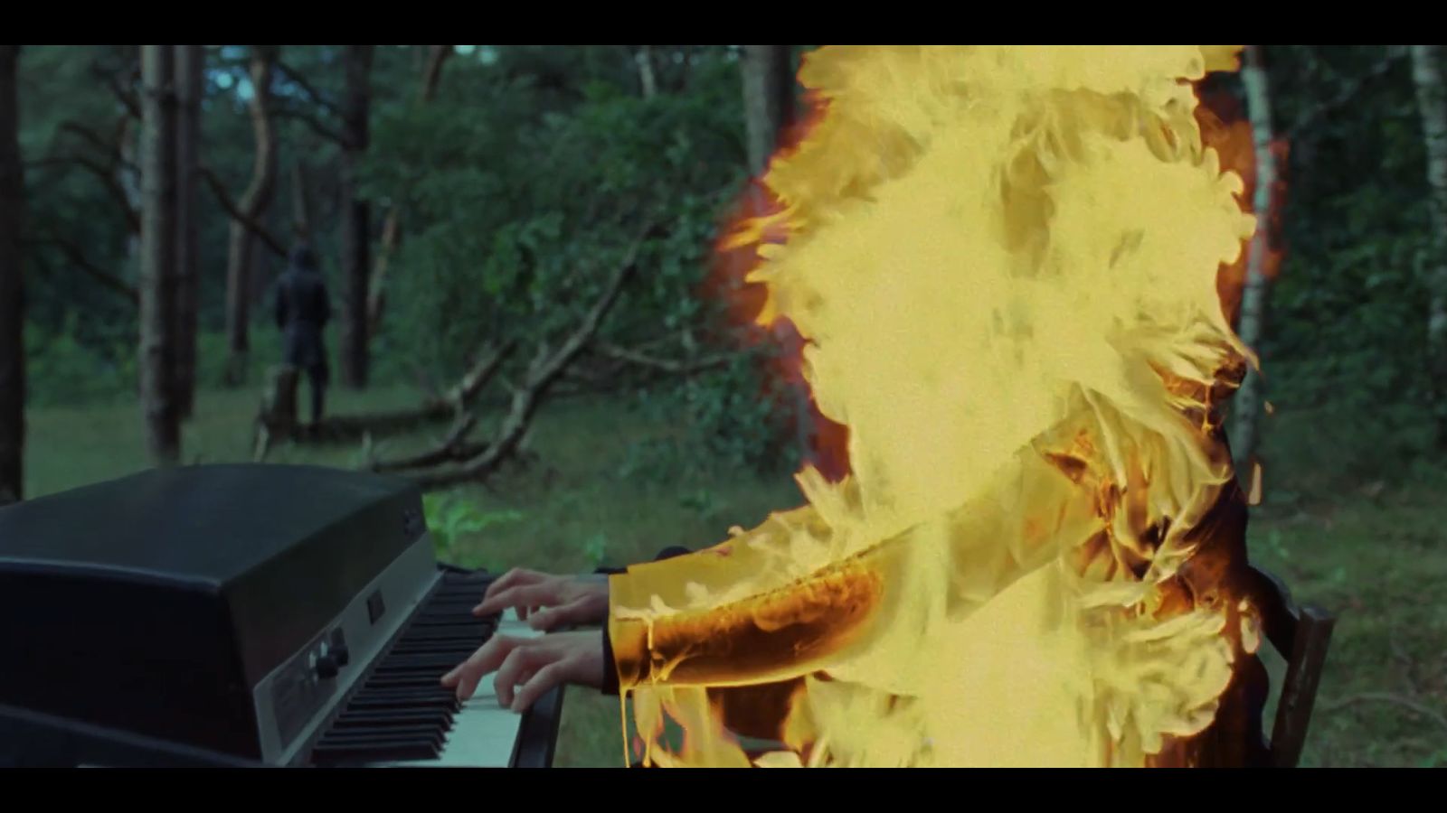 a person playing a piano in a forest