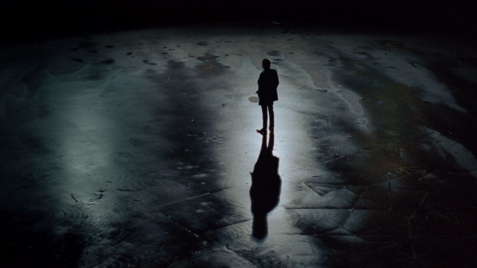 a person standing in the middle of a snow covered field