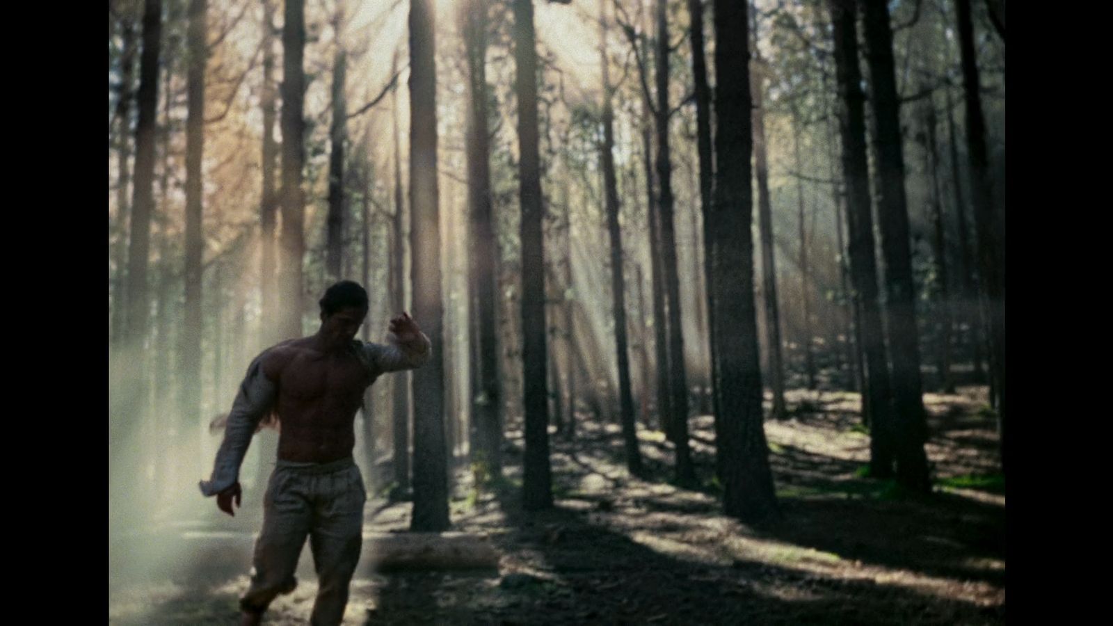 a shirtless man in the middle of a forest throwing a frisbee