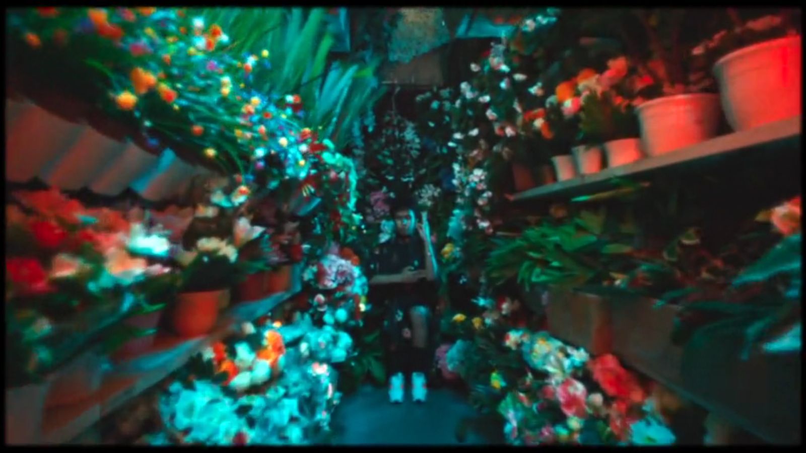 a store filled with lots of plants and flowers