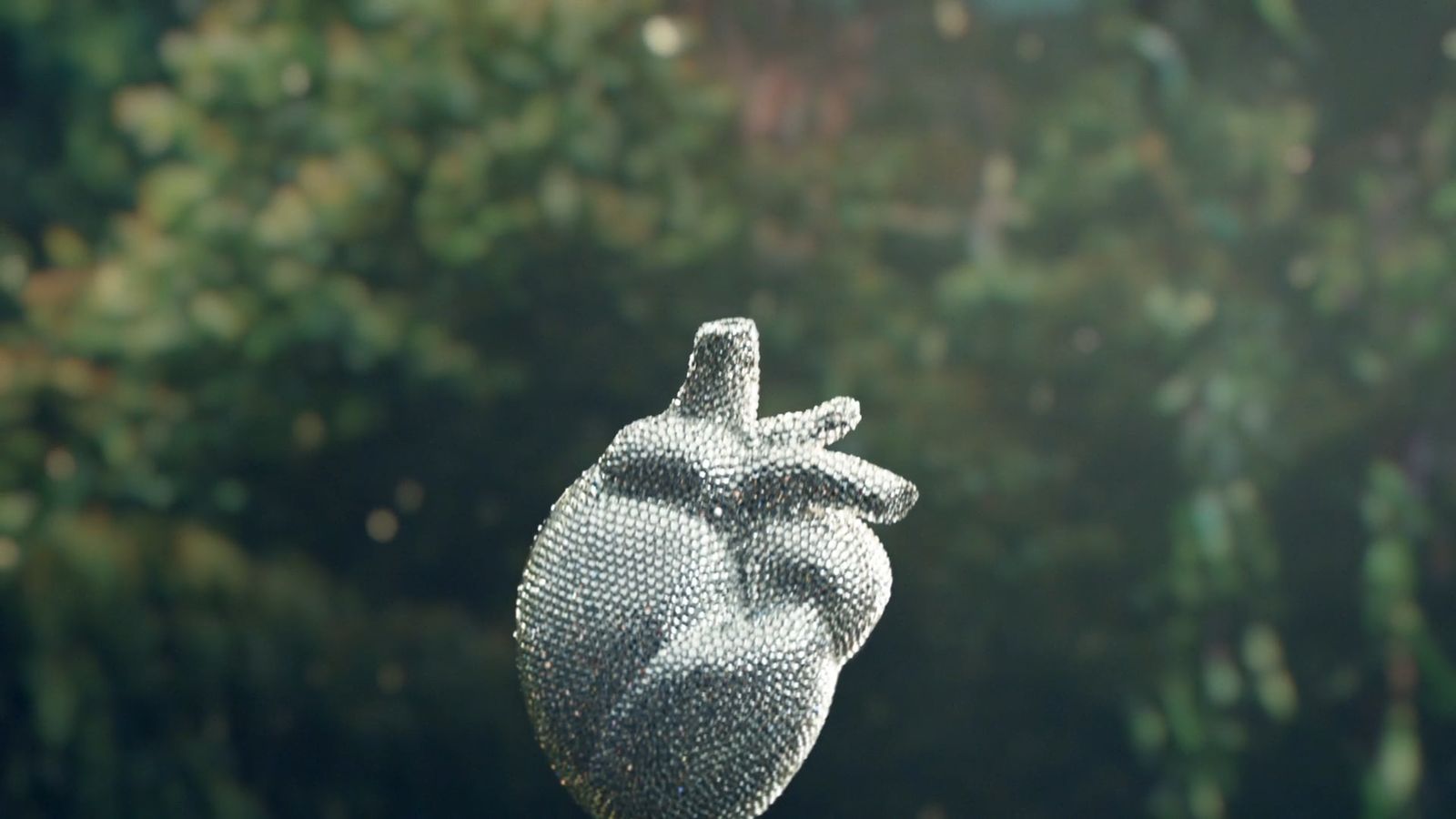 a close up of a heart shaped object in front of trees