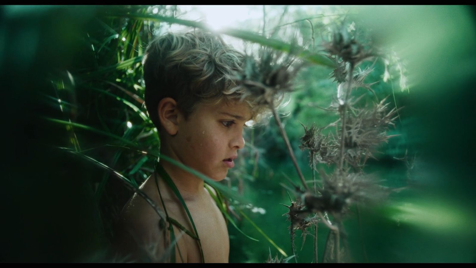 a young boy is looking at a dandelion