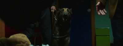 a dog is being held by a man in a dark room