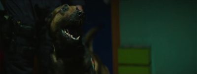 a dog with it's mouth open standing in a room