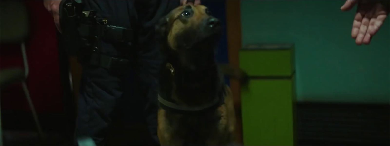 a dog is being held by a police officer