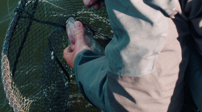 a person holding a fish in a net