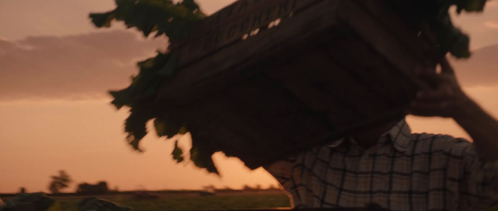 a man carrying a wooden crate over his head