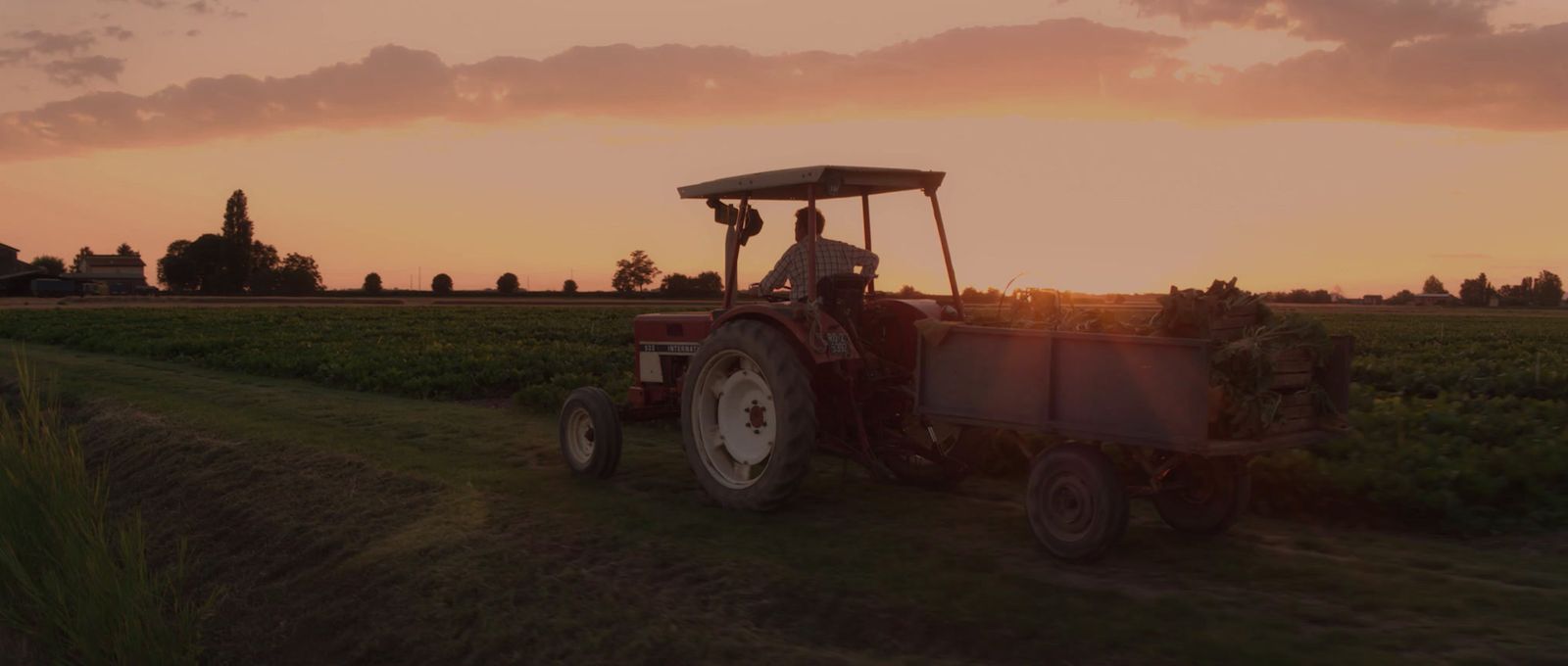 a man driving a tractor in a field at sunset