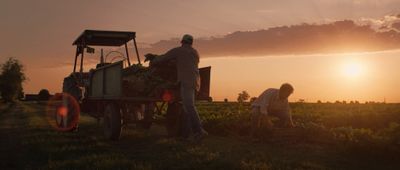 a couple of people in a field with a tractor