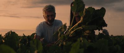 a man standing in a field of lettuce