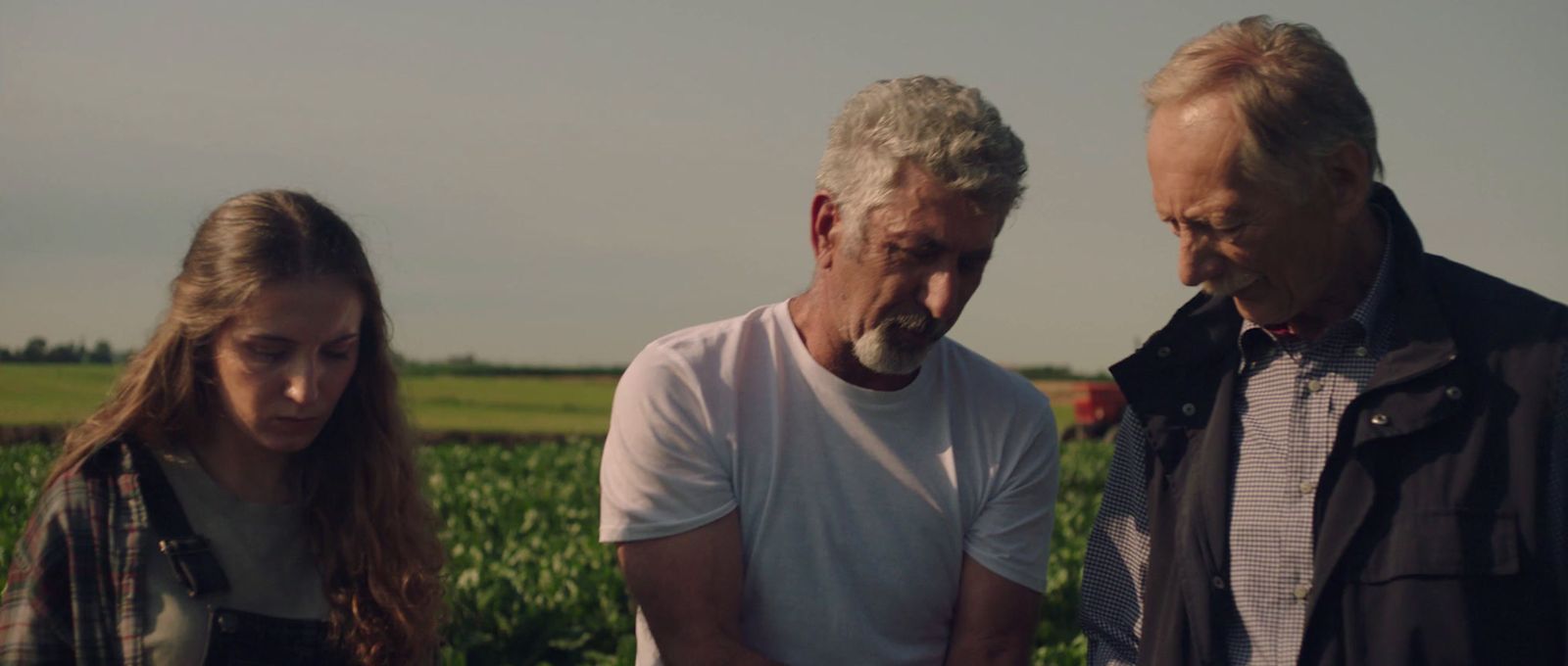 two men and a woman standing in a field