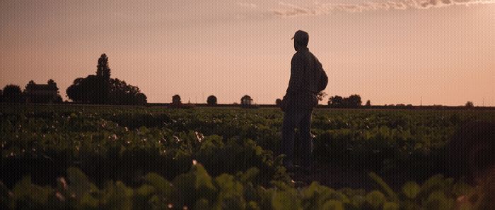 a man standing in a field at sunset