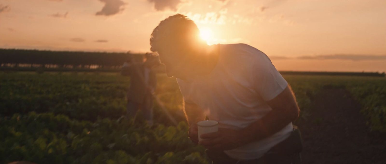 a man standing in a field with the sun setting behind him