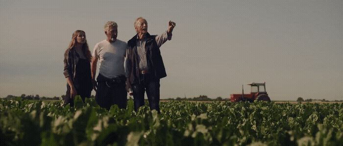 two men and a woman standing in a field