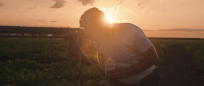 a man standing in a field with the sun setting behind him