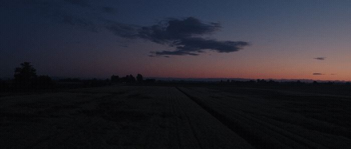 the sun is setting over a field of crops