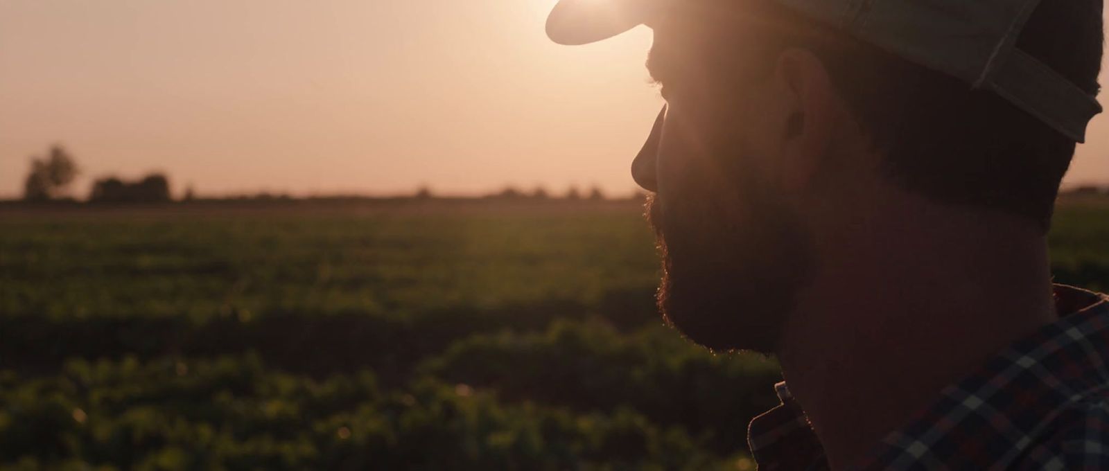 a man standing in a field with the sun behind him