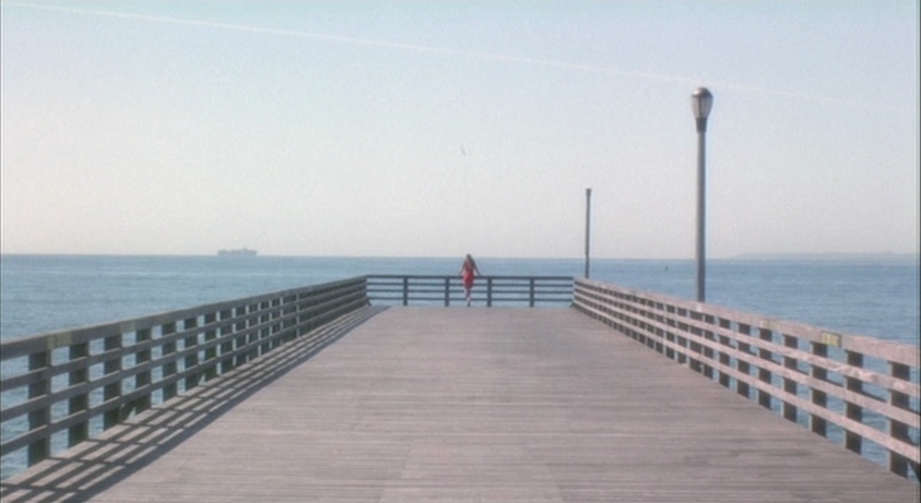 a person standing on a pier near the ocean