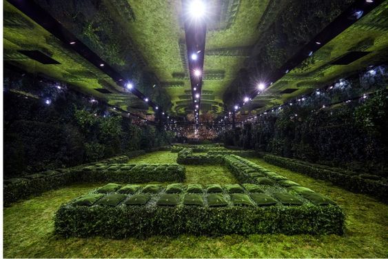 a maze in the middle of a field of grass